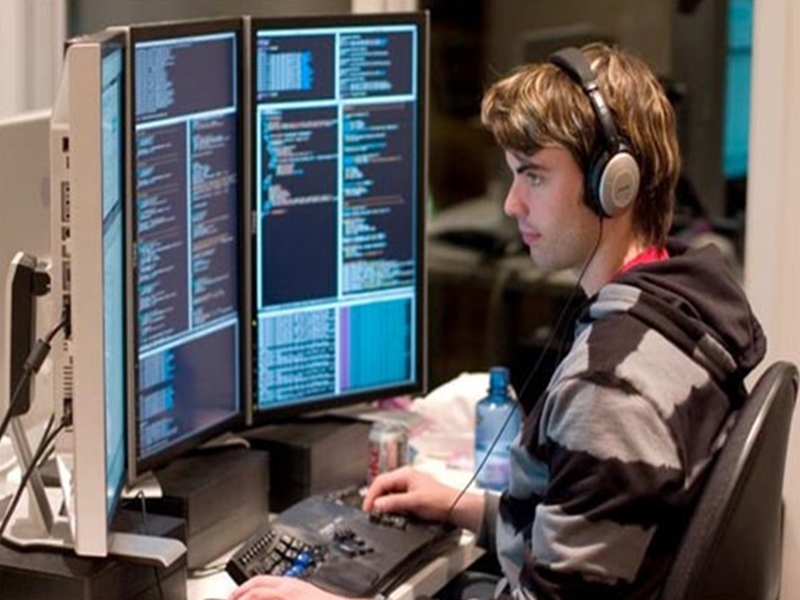 Nghề lập trình viên - ảnh: internet.