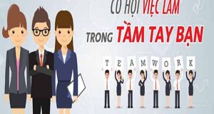 Ứng tuyển là gì? Chia sẻ cách ứng tuyển thành công