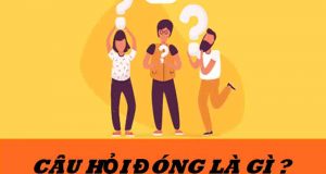 Câu hỏi đóng là gì? Bí kíp trả lời câu hỏi đóng trong tích tắc