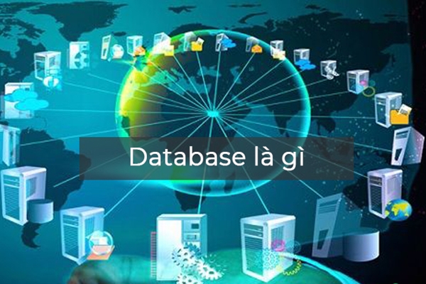 Database là gì? Tầm quan trọng của database trong ngành IT - Ảnh 1