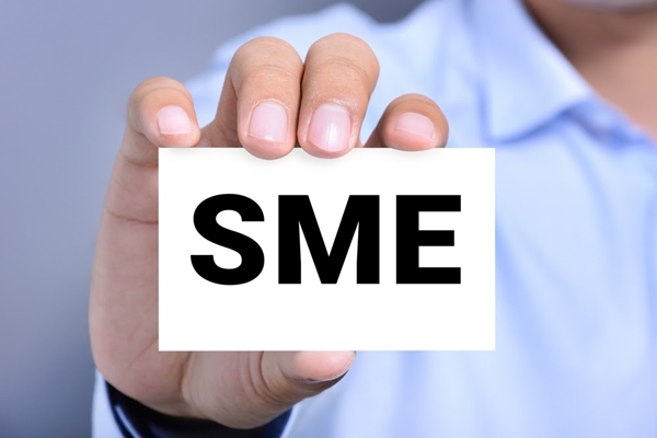SME là gì? Tìm hiểu về doanh nghiệp quy mô vừa và nhỏ - Ảnh 2 SME là gì? Tìm hiểu về doanh nghiệp quy mô vừa và nhỏ - Ảnh 2