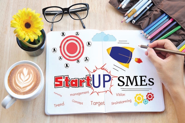 SME là gì? Tìm hiểu về doanh nghiệp quy mô vừa và nhỏ - Ảnh 4