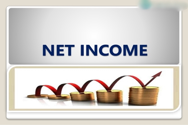 Net income là gì? Vai trò của Net Income đối với doanh nghiệp - Ảnh 2