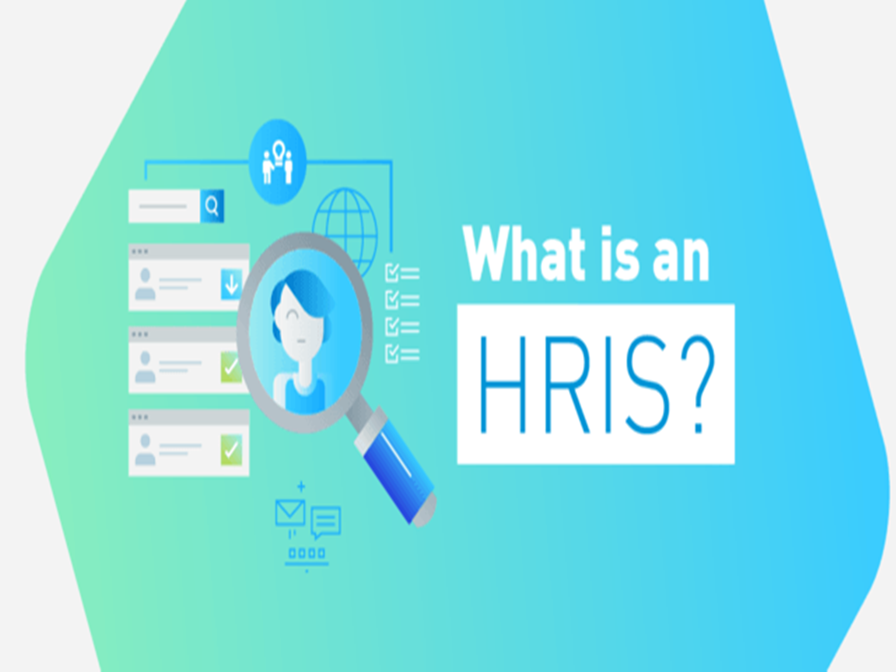 Hris là gì? Tính năng cần nắm rõ của phần mềm quản lý Hris