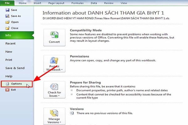 Cách in 2 mặt trong Excel 2010 và 1 số thủ thuật hữu ích khác 2