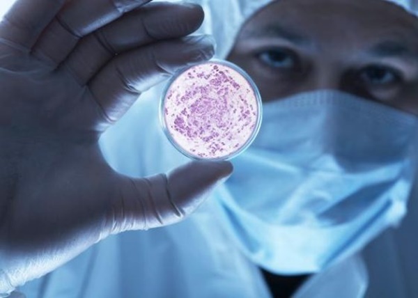 Giải thích về công nghệ vi sinh là gì?  Ứng dụng công nghệ vi sinh trong đời sống - Ảnh 1