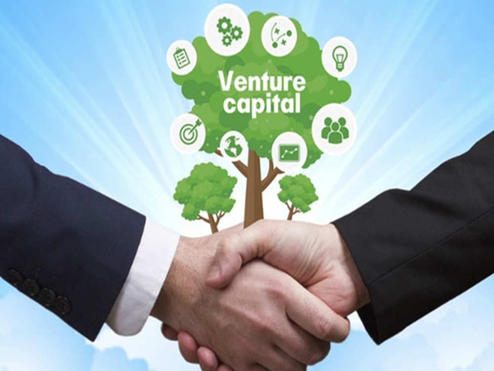 Venture capital là gì? Tìm hiểu khái quát venture capital