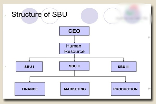 SBU là gì? Ứng dụng của SBU trong việc xây dựng doanh nghiệp - Ảnh 2