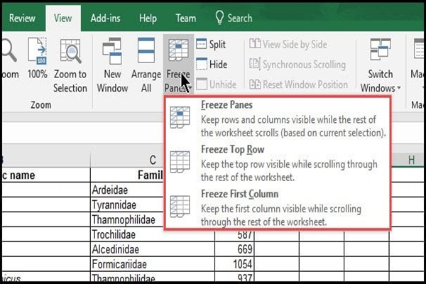 Cách cố định dòng trong Excel và một số thao tác hữu ích khác - Ảnh 2