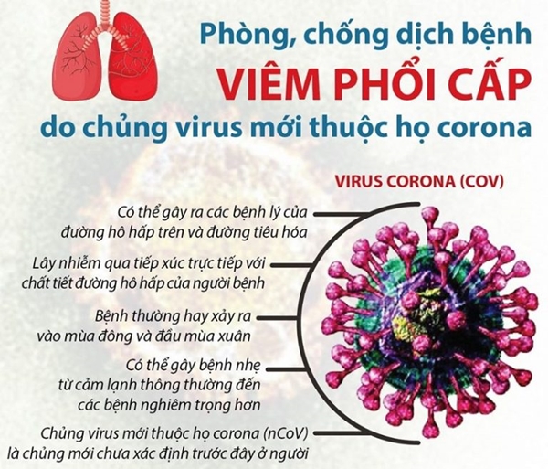 Virus là gì? Hiểu chính xác về đại dịch Virus Corona - Ảnh 3