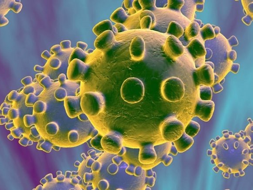 Virus là gì? Hiểu chính xác về đại dịch Virus Corona