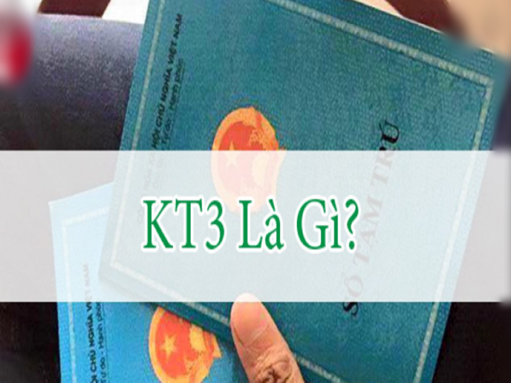 KT3 là gì? Mẫu KT3 chuẩn nhất dành cho người đi vay