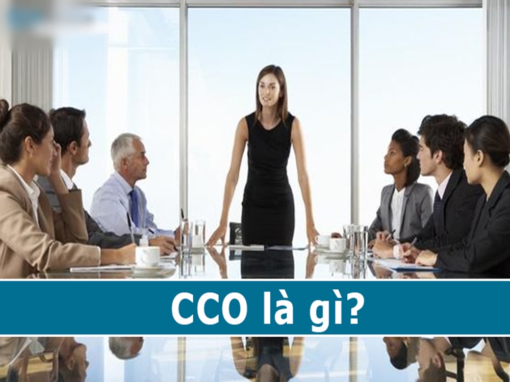 CCO là gì và cách để trở thành một CCO chuyên nghiệp