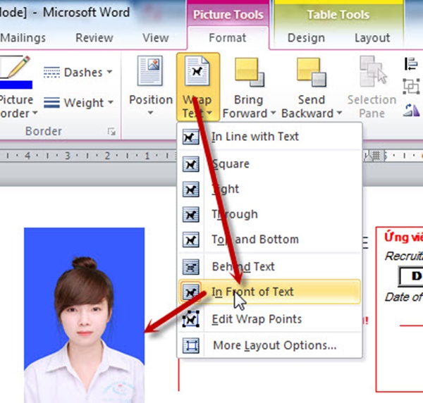 Hướng dẫn chèn hình vào đơn xin việc trên word