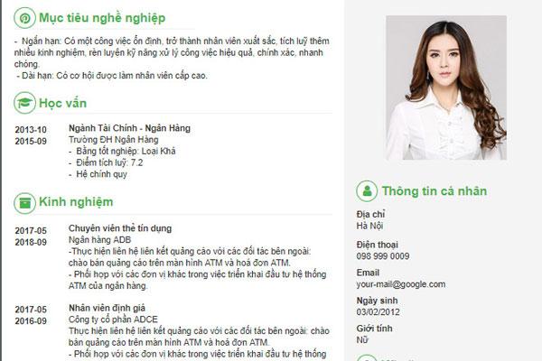 Download mẫu CV tiếng Việt đẹp online, đa dạng và nhanh chóng - Ảnh 6
