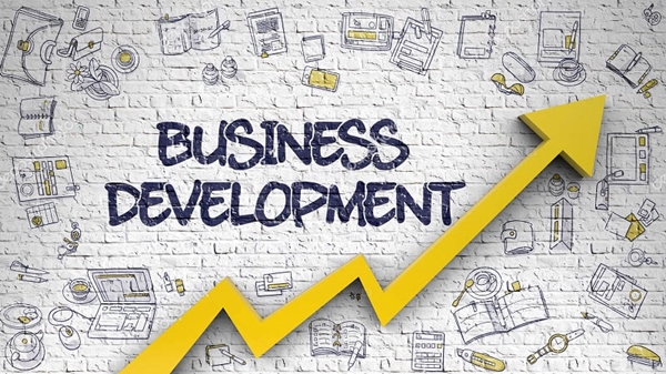 Business development là gì? Các vị trí công việc và MỨC LƯƠNG - Ảnh 1