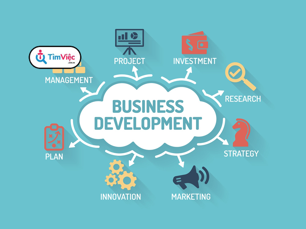 Business development là gì? Các vị trí công việc và MỨC LƯƠNG