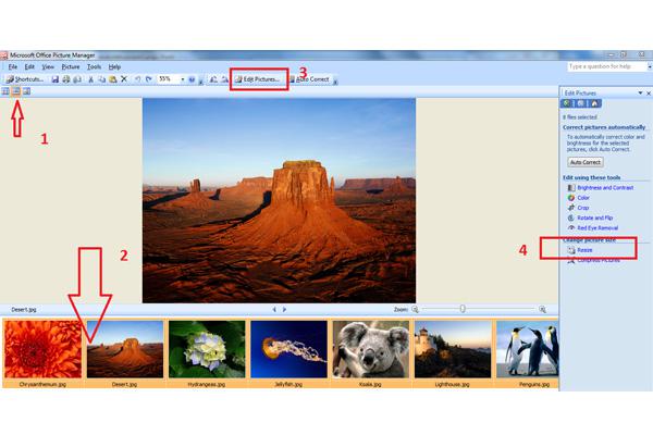 Hướng dẫn giảm dung lượng ảnh bằng MS office picture manager