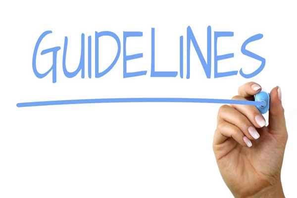 Guideline là gì và vai trò của nó trong xây dựng thương hiệu - Ảnh 1