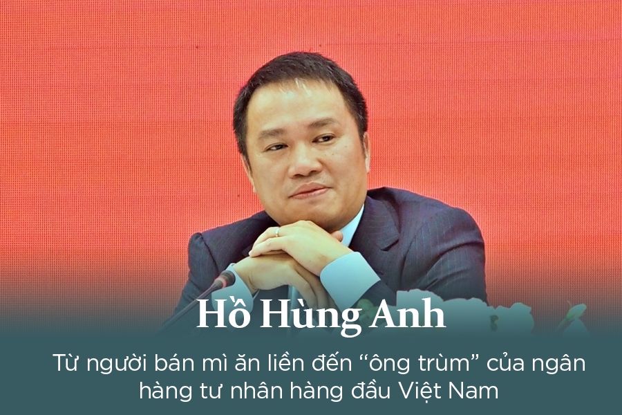 Hồ Hùng Anh là ai – Tiểu sử và sự nghiệp của Chủ tịch Techcombank - Ảnh 2
