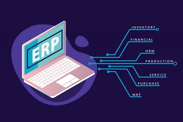 Phần mềm ERP là gì và cách sử dụng hệ thống quản lý này với DN - Ảnh 3