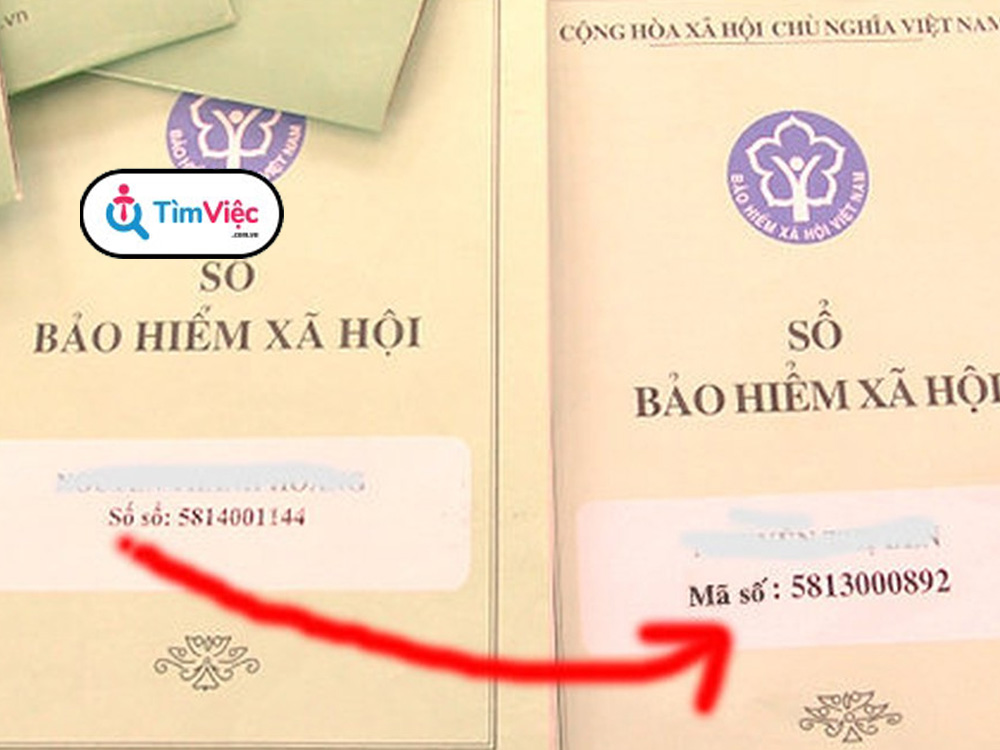 Bảo hiểm xã hội khi nghỉ việc: Những vấn đề lao động cần lưu ý