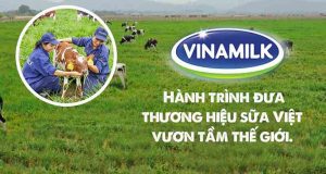 Công ty sữa Vinamilk: Quá trình phát triển thương hiệu sữa Việt tỷ đô