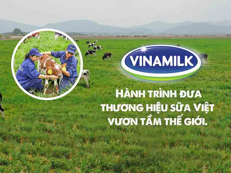 Công ty sữa Vinamilk: Quá trình phát triển thương hiệu sữa Việt tỷ đô