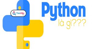 Python là gì? Ứng dụng chính của ngôn ngữ lập trình bậc cao đa năng