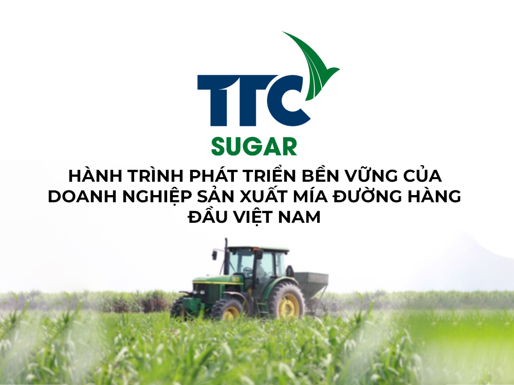 Tổng quan lịch sử phát triển Công ty Thành Thành Công - Biên Hòa