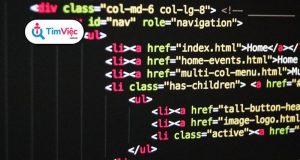 Javascript là gì? Học gì để thành lập trình Java script giỏi?