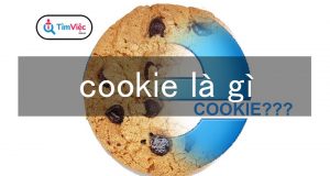 Cookies là gì? Cách quản lý dữ liệu Cookies trên trình duyệt máy tính