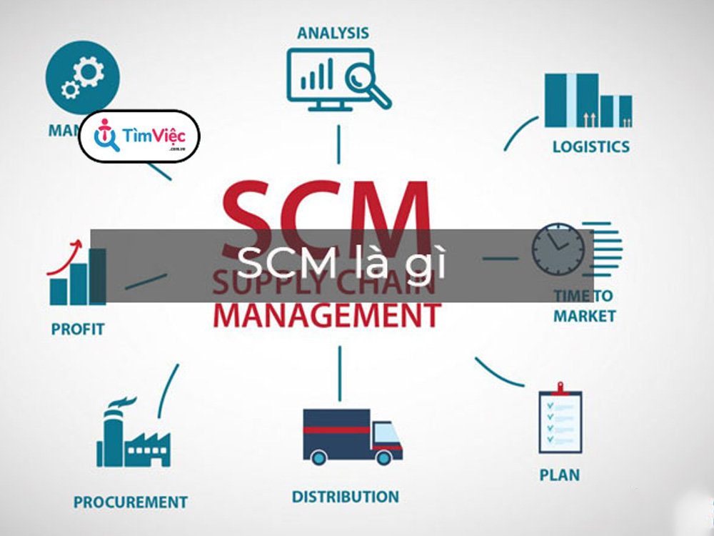 SCM là gì? Cơ hội nghề nghiệp ngành supply chain management hiện nay