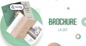 Brochure là gì? Đâu là những ý tưởng thiết kế brochure nổi bật