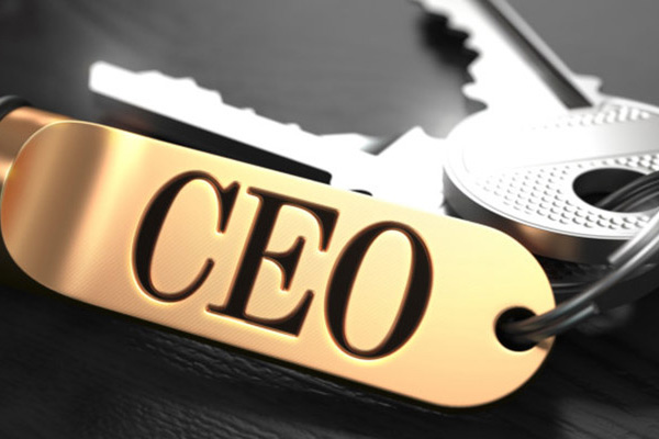 CEO là gì? Yêu cầu và tố chất để trở thành CEO doanh nghiệp - Ảnh 2
