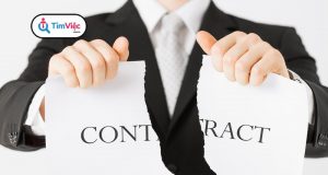 Hợp đồng thử việc doanh nghiệp có bắt buộc phải ký không?