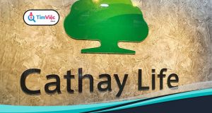 Cathay Life Việt Nam: Review môi trường và chế độ làm việc