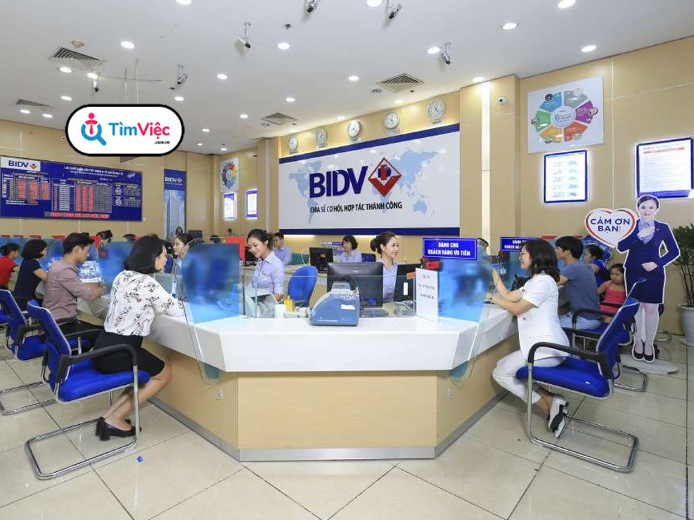Ngân hàng BIDV: Tổng quan ngân hàng và quá trình tuyển dụng