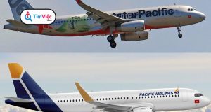 Jetstar Pacific Airlines: Yêu cầu của Pacific Airlines tuyển dụng cho TVHK