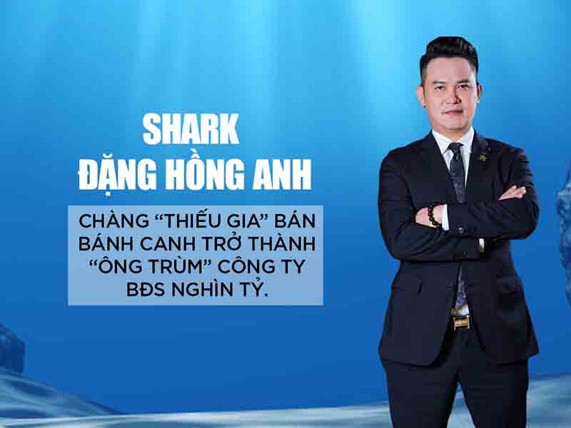 Shark Đặng Hồng Anh là ai - Tiểu sử và sự nghiệp của Chủ tịch DHA