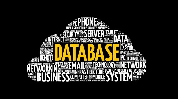 Database là gì? Các loại Database thường gặp trong ngành IT - Ảnh 1
