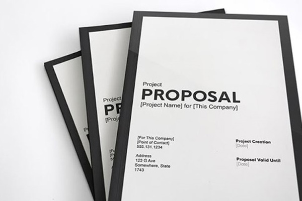 Proposal là gì? Hướng dẫn cách viết Proposal chuyên nghiệp - Ảnh 1