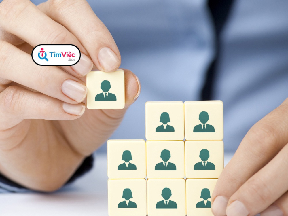 Quản trị nhân sự là gì? Cơ hội việc làm nếu học ngành quản trị nhân sự