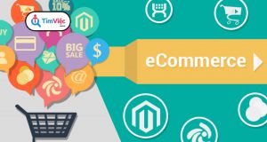 Ecommerce là gì? Các hình thức hoạt động của ecommerce platform