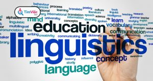 Ngôn ngữ học: Cơ hội việc làm cho sinh viên ngành ngôn ngữ