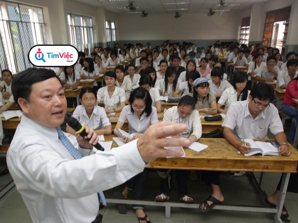 Giảng viên đại học cần tiêu chuẩn gì để được tuyển dụng cơ hữu