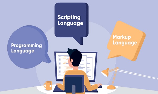 Script là gì? Sự khác biệt so với ngôn ngữ lập trình - Ảnh 2