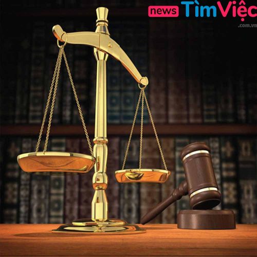 Hé lộ lương luật sư ở Việt Nam: Nghề luật sư có thực sự giàu? - Ảnh 1