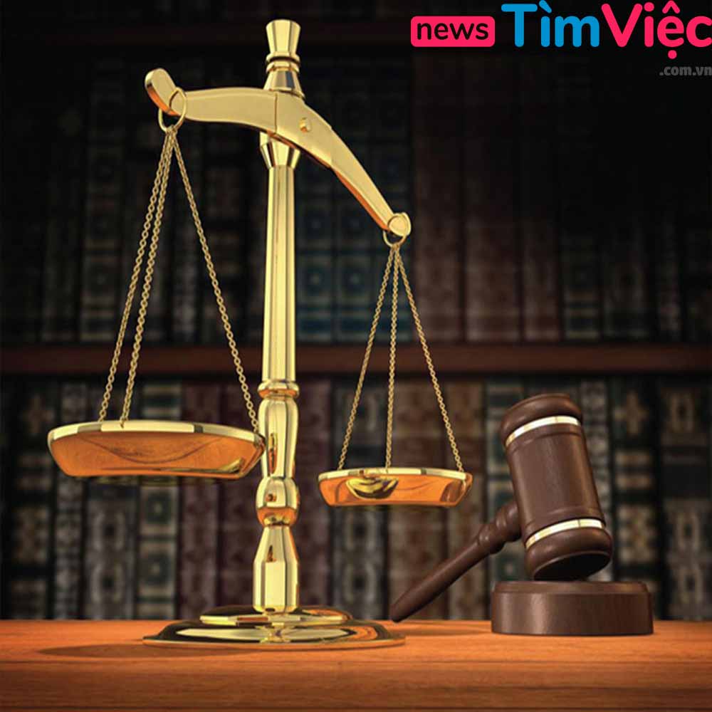 Hé lộ lương luật sư ở Việt Nam: Nghề luật sư có thực sự giàu?