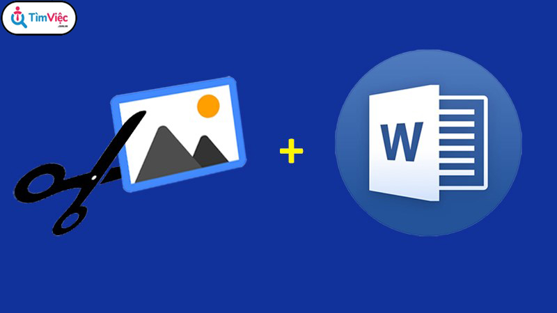 Tổng hợp các cách cắt hình trong Word chỉ trong vài phút - Ảnh 1